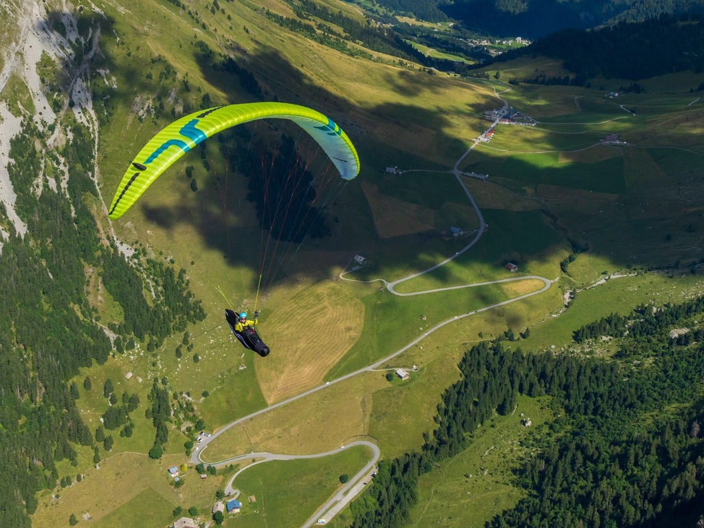 Alpina 5